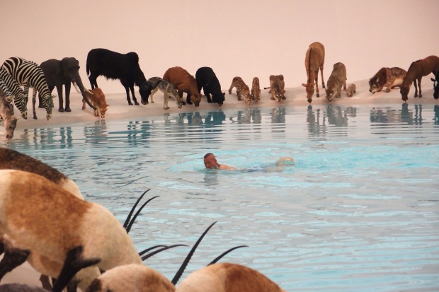 Cai Guo-Qiang swimming in the pond during installation process of Heritage, Gallery of Modern Art, Brisbane, 2013. Courtesy Cai Studio.